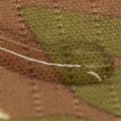 165GSM Camouflage Polyester Fabric Printed Yarn Count 500×500